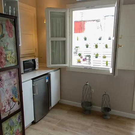 Apartment Palacio Almagra